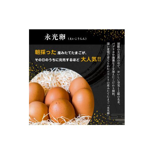 ふるさと納税 卵（鶏、烏骨鶏等） 千葉県 君津市  定期便 6回 メディア紹介多数 永光卵 120個 卵 たまご 選べる 個数 回数 トレイ タイプ | 送料無料 えいこう…_3