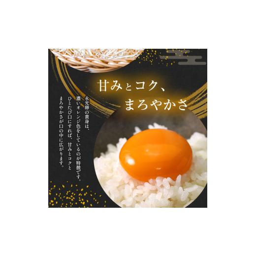 ふるさと納税 卵（鶏、烏骨鶏等） 千葉県 君津市  定期便 6回 メディア紹介多数 永光卵 120個 卵 たまご 選べる 個数 回数 トレイ タイプ | 送料無料 えいこう…_4