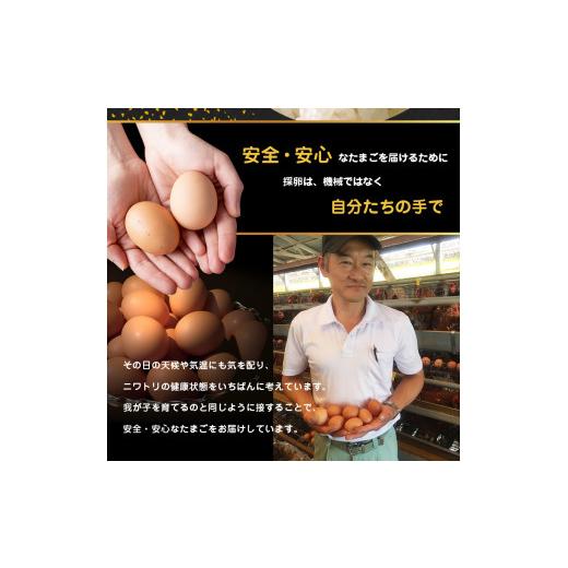 ふるさと納税 卵（鶏、烏骨鶏等） 千葉県 君津市  定期便 6回 メディア紹介多数 永光卵 120個 卵 たまご 選べる 個数 回数 トレイ タイプ | 送料無料 えいこう…_5