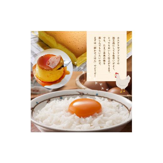 ふるさと納税 卵（鶏、烏骨鶏等） 千葉県 君津市  定期便 6回 メディア紹介多数 永光卵 120個 卵 たまご 選べる 個数 回数 トレイ タイプ | 送料無料 えいこう…_6