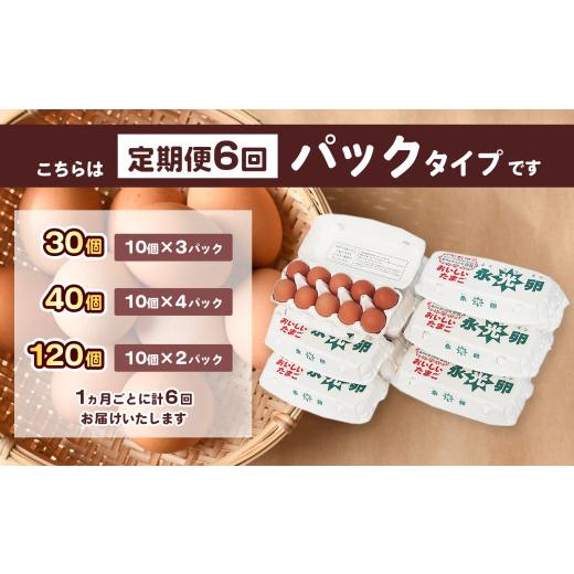ふるさと納税 卵（鶏、烏骨鶏等） 千葉県 君津市  定期便 6回 メディア紹介多数 永光卵 120個 卵 たまご 選べる 個数 回数 トレイ タイプ | 送料無料 えいこう…_7