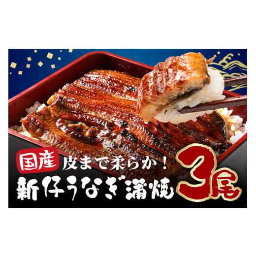 ふるさと納税 うなぎ 茨城県 潮来市 超特大 やわらか 国内産うなぎ蒲焼 220〜250g 3尾 計660g以上 肉厚ジューシー ふっくら柔らか ブランド鰻使用 秘伝のタレ…