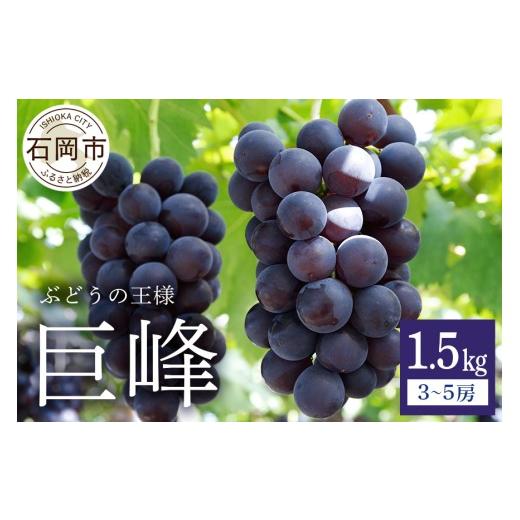 ふるさと納税 ぶどう 巨峰 茨城県 石岡市  2026年 先行予約 巨峰 1.5kg ( 種あり ) 鈴木ぶどう園 3房 〜 5房 ぶどう ブドウ 国産 果物 くだもの 葡萄 フルーツ…_1