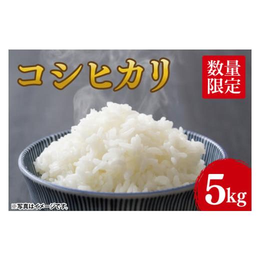 ふるさと納税 米 コシヒカリ 茨城県 阿見町 2026年1月下旬頃〜2月下旬発送 令和7年産 新米 コシヒカリ5kg「茨城県産 茨城県産米」 米 おこめ こしひかり 農家…