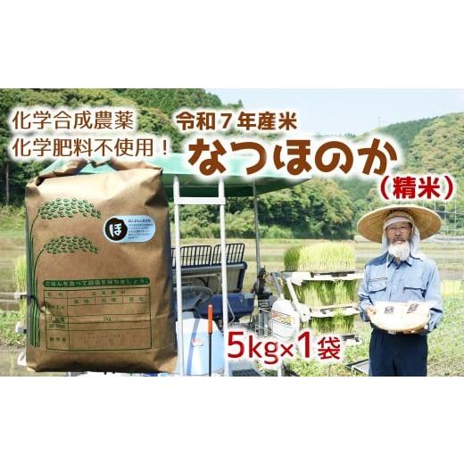 ふるさと納税 米 大分県 臼杵市 オーガニック太陽 令和7年産米なつほのか 5kg 精米 なつほのか 5kg 精米