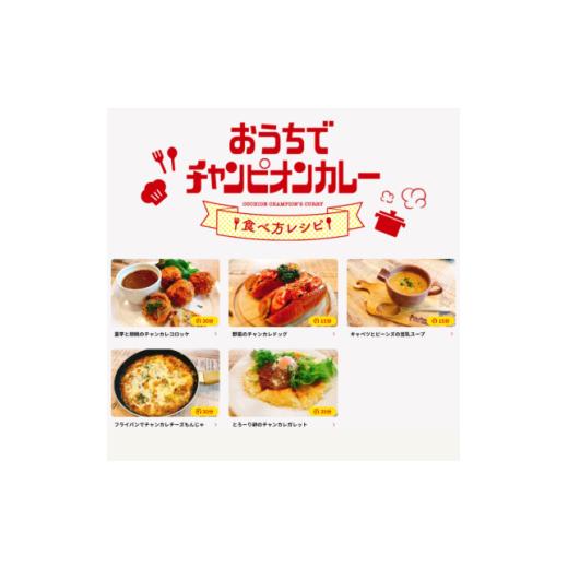 ふるさと納税 加工品等 レトルト 石川県 白山市 チャンピオンカレーレトルト甘口180g×40個セット 1593074の画像
