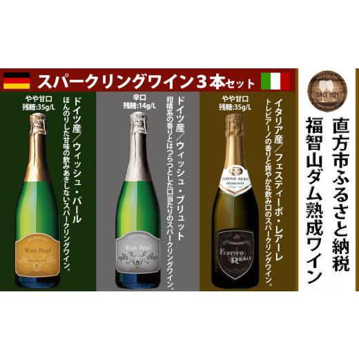 ふるさと納税 ワイン セット 福岡県 直方市 通常3本セット FD323 福智