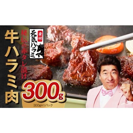 ふるさと納税 牛肉 ホルモン 大阪府 泉佐野市 お試し 牛ハラミ 300g お試し 秘伝の赤タレ漬け 牛肉 焼肉用 焼くだけ はらみ 小分け BBQ やきにく 肉厚 高評価…