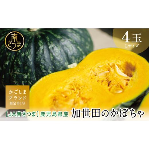 ふるさと納税 野菜類 鹿児島県 南さつま市 5月〜7月出荷 かごしまブランド 加世田のかぼちゃ 4個 5〜7月出荷開始 ・ 数量限定 ・ 期間限定 [春出荷] 野菜 …