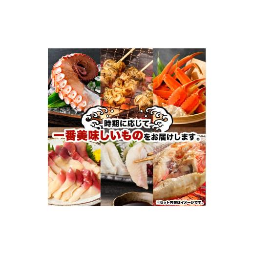 ふるさと納税 魚貝類 鮭 北海道 えりも町  隔月 ぷろたん監修 蟹と旬魚の贅沢ごちそう便 ６回 松 er018-078_3
