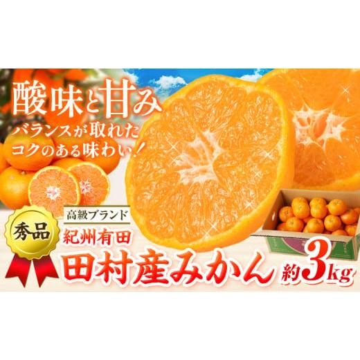 ふるさと納税 果物類 みかん 和歌山県 日高町 みかん 高級ランド 秀品 紀州有田田村産みかん 3kg 株式会社魚鶴商店[12月上旬-1月中旬頃出荷(土日祝除く)]和…