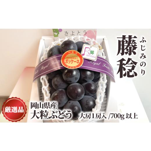 ふるさと納税 ぶどう 巨峰 岡山県 真庭市 2026年先行予約 大粒葡萄の藤稔 特大1房 厳選品/1房700g以上 (岡山県産)