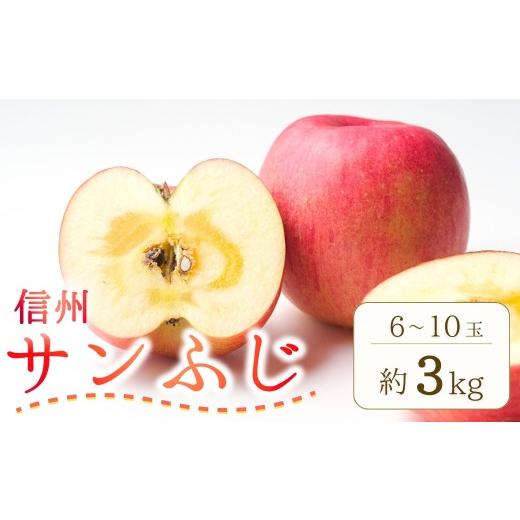 ふるさと納税 りんご 長野県 千曲市 2026年先行予約 りんご サンふじ 約3kg (6~10玉) | さんふじ フルーツ 果物 信州りんご 産地直送 千曲市 長野県産 信州 …