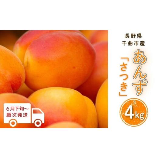 ふるさと納税 果物類 長野県 千曲市 2026年先行予約 あんず さつき(長野県オリジナル品種) 約4kg 杏子 アプリコット 長野県産 千曲市 信州