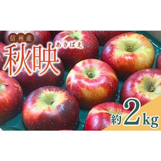 ふるさと納税 りんご 長野県 千曲市 2026年先行予約 太陽の恵みたっぷり りんご 秋映 2kg | 信州りんご 長野りんご リンゴ 林檎 あきばえ 千曲市 長野県産 信…