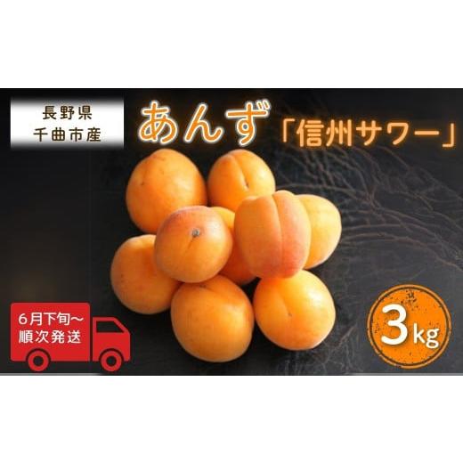 ふるさと納税 果物類 長野県 千曲市 2026年先行予約 あんず 信州サワー(長野県オリジナル品種) 約 3kg 杏子 アプリコット 千曲市産 長野県 信州