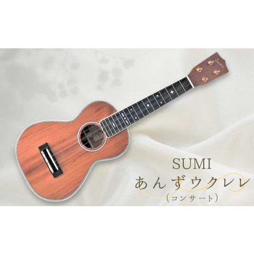 ふるさと納税 木工品・竹工品 長野県 千曲市 SUMIあんずウクレレ ( コンサート ) 国産木材 ハンドメイド 高音質 アコースティック 希少材