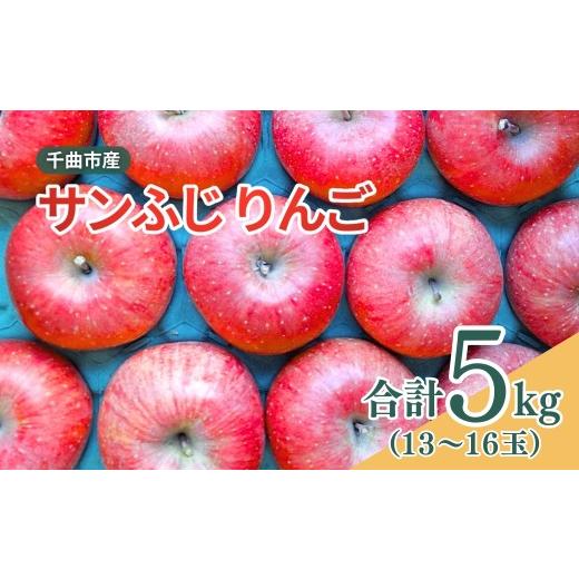 ふるさと納税 りんご 長野県 千曲市 2026年先行予約 千曲市産 サンふじ りんご 約5kg (13~16玉)| 果物 フルーツ リンゴ 林檎 サンフジ さんふじ 千曲市 長…