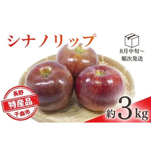 ふるさと納税 りんご 長野県 千曲市 2026年先行予約 りんご シナノリップ(長野県オリジナル品種) 約3kg | りんご 林檎 リンゴ 信州りんご 長野県 千曲市 約3k…