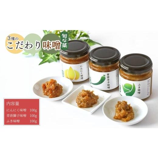 ふるさと納税 味噌 長野県 千曲市 こだわり味噌 3種 (ふき・にんにく・青唐辛子) 手作り味噌 ふき味噌 にんにく味噌 青唐辛子味噌 発酵調味料 発酵食品 信州…