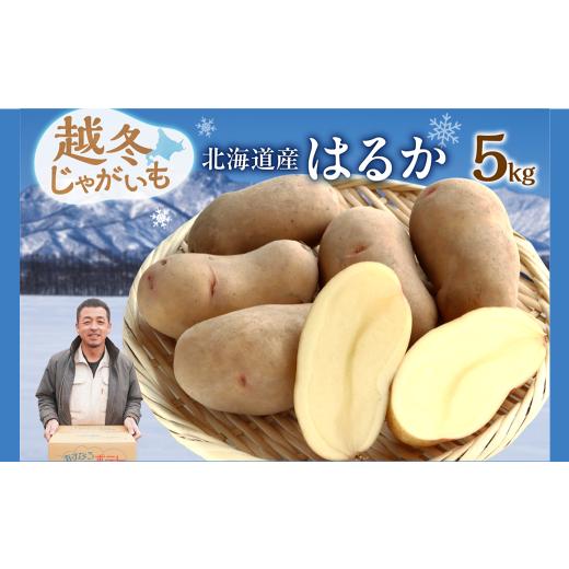 ふるさと納税 野菜類 じゃがいも 北海道 清水町 ホクホク あま〜い 低温貯蔵 北海道産 越冬じゃがいも はるか 約5kg じゃがいも いも 芋 はるか 産地直送 越冬…