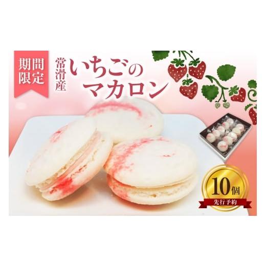 ふるさと納税 焼菓子・チョコレート マカロン 愛知県 常滑市 常滑いちごのマカロン10個セット | いちご 苺 ストロベリー マカロン お菓子 発酵 バター バター…