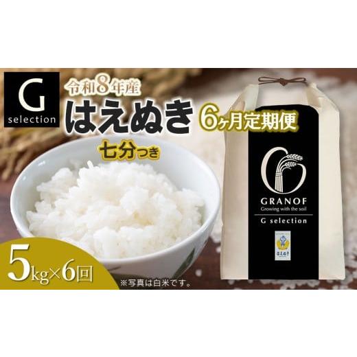 ふるさと納税 米 はえぬき 山形県 鶴岡市 令和8年産先行予約 定期便6ヶ月 Gセレクション はえぬき 七分つき 5kg×6ヶ月 山形県鶴岡市産 株式会社グラノフ 七…