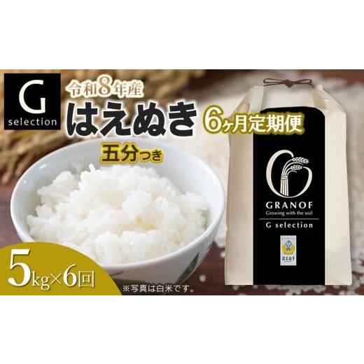 ふるさと納税 米 はえぬき 山形県 鶴岡市 令和8年産先行予約 定期便6ヶ月 Gセレクション はえぬき 五分つき 5kg×6ヶ月 山形県鶴岡市産 株式会社グラノフ 五…
