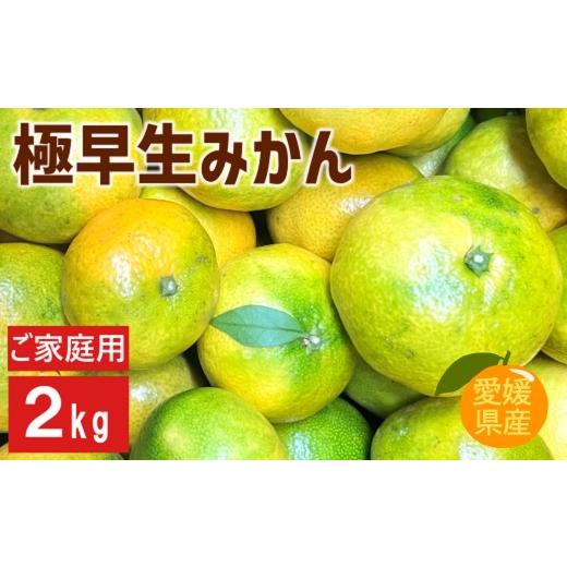 ふるさと納税 果物類 みかん 愛媛県 伊予市 2026年先行予約 極早生みかん 2kg 9月下旬以降発送予定 農園直送 数量限定 みかん 愛媛県産 人気 柑橘 伊予市|A9…