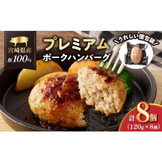 ふるさと納税 肉 ハンバーグ 宮崎県 都農町 宮崎県産豚プレミアムハンバーグ(計8個) 肉 豚肉 加工品 惣菜 国産_T001-0095 通常発送 入金確認後、1〜2か月程度…
