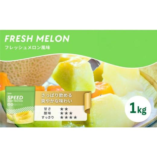 ふるさと納税 牛乳・乳飲料 山口県 下関市 メロン風味 ウェルニ ホエイ プロテイン 1kg メロン風味