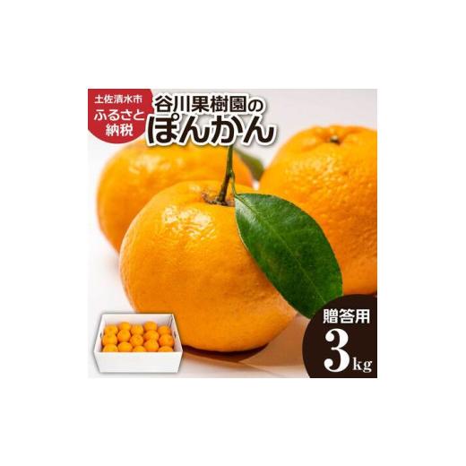 ふるさと納税 果物類 みかん 高知県 土佐清水市 令和9年1月下旬 ぽんかん3kg(谷川果樹園)デコポンの親 みかん 蜜柑 ミカン 不知火 しらぬい 柑橘 かんき…