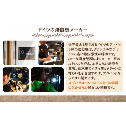 ふるさと納税 コーヒー コーヒー豆 大阪府 門真市  コーヒー豆定期便 珈琲豆 200g×2銘柄 12ヶ月（中挽き）の画像