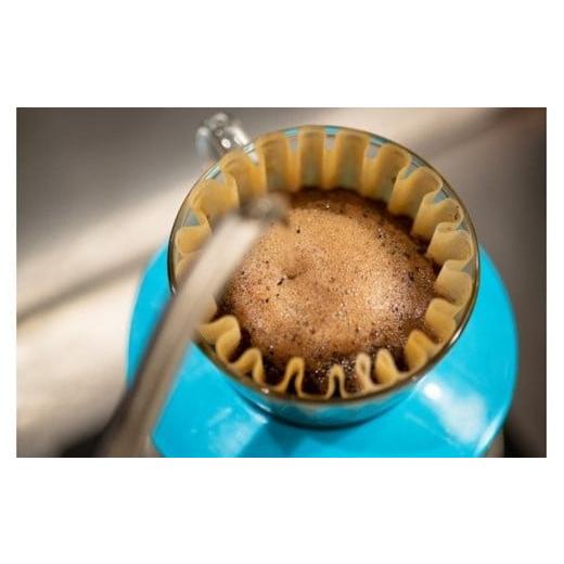 ふるさと納税 コーヒー コーヒー豆 大阪府 門真市  コーヒー豆定期便 珈琲豆 200g×2銘柄 12ヶ月（中挽き）の画像