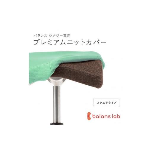 ふるさと納税 雑貨・日用品 大阪府 門真市 バランスシナジー専用プレミアムニットカバー(ライトグリーン)スクエアシート用 はっ水加工 バランス シナジー カ…