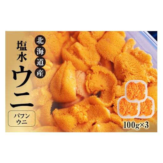 ふるさと納税 ウニ 北海道 余市町 先行受付 北海道産 世壱屋塩水ウニ（バフンウニ）300g_1