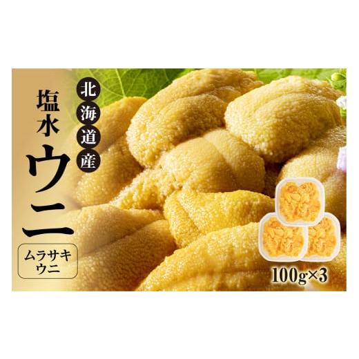 ふるさと納税 ウニ 北海道 余市町 先行受付 北海道産 世壱屋塩水ウニ（ムラサキウニ）300g_1