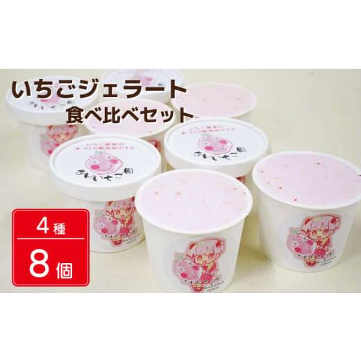 ふるさと納税 アイス・ヨーグルト ジェラート 徳島県 吉野川市 いちご 冷凍 ジェラート 8個 4種類 紅ほっぺ あまえくぼ ストロベリー 甘い 苺 あまい イチゴ …