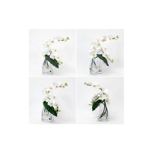 ふるさと納税 雑貨・日用品 花 三重県 名張市 アートフラワー エミリオ・ロバ ファレノプシスL TTNTA-58200の画像