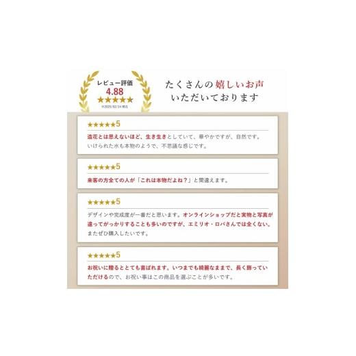 ふるさと納税 雑貨・日用品 花 三重県 名張市 アートフラワー エミリオ・ロバ ファレノプシスL TTNTA-58200の画像