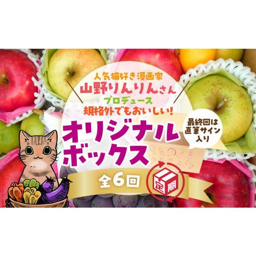ふるさと納税 果物の詰合せ 山口県 山口市 B088 山野りんりん直筆サイン入り規格外でも美味しい SDGsなフルーツ定期便(6回)