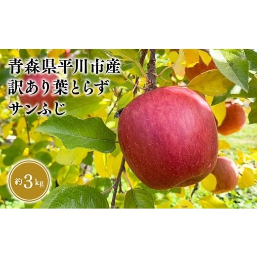 ふるさと納税 りんご 青森県 平川市 2026年12月中旬頃より発送 青森県産 訳あり 葉取らずサンふじ 約3kg 青森県 平川市 なるみ農園 家庭用 訳アリ 青森 青森…