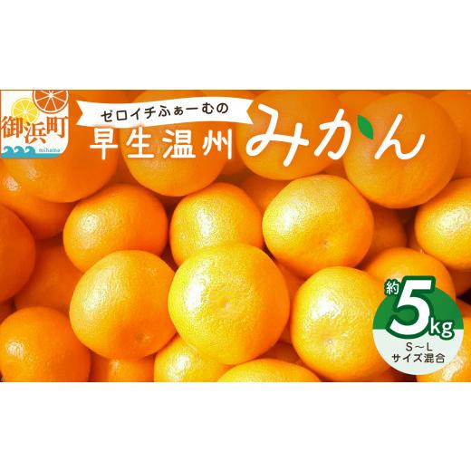 ふるさと納税 果物類 みかん 三重県 御浜町 ゼロイチふぁーむのみかん 約5キロ 御浜町産 みかん オレンジ デザート 早生 温州 三重県