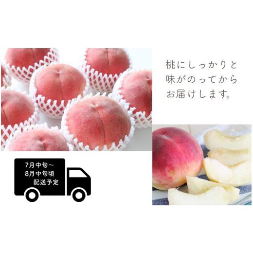 ふるさと納税 もも 長野県 松川町 MS26 桃 あかつき（長野県産秀品） 約3kg ／ 2026年7月中旬〜8月中旬頃 配送予定 ／／ 長野県 南信州 モモ 贈答 ギフト 秀品…の画像