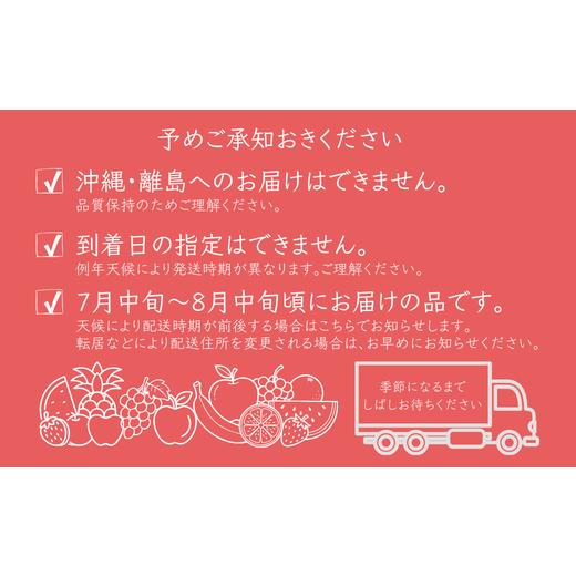 ふるさと納税 もも 長野県 松川町 MS26 桃 あかつき（長野県産秀品） 約3kg ／ 2026年7月中旬〜8月中旬頃 配送予定 ／／ 長野県 南信州 モモ 贈答 ギフト 秀品…の画像