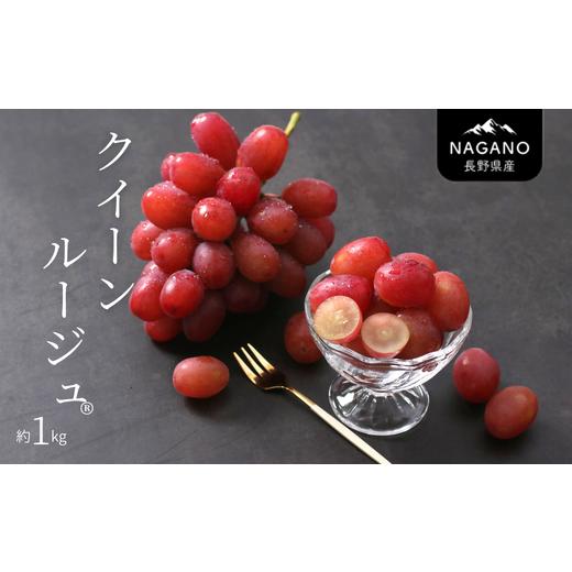 ふるさと納税 ぶどう 長野県 松川町 MS34 ぶどう クイーンルージュ?(長野県産秀品) 約1kg / 2026年10月中旬〜11月上旬頃 配送予定 // 稀少 新品種 長野県…