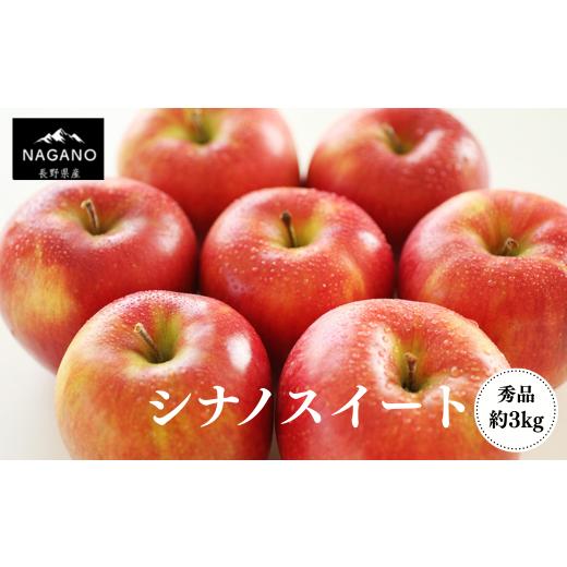 ふるさと納税 りんご 長野県 松川町 MS41 りんご シナノスイート(長野県産秀品) 約3kg / 2026年10月中旬〜11月中旬頃 配送予定 // 長野県 南信州 贈答 り…