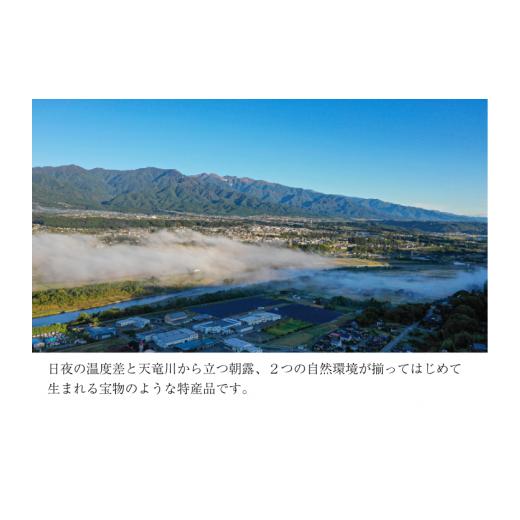 ふるさと納税 果物類 柿 長野県 松川町 MS44 市田柿 柿実 約500g（ご自宅用）／ 2027年1月中旬〜2月下旬頃 配送予定 ／／ 長野県 南信州 干し柿 干柿 高糖度 …_6