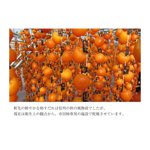 ふるさと納税 果物類 柿 長野県 松川町 MS44 市田柿 柿実 約500g（ご自宅用）／ 2027年1月中旬〜2月下旬頃 配送予定 ／／ 長野県 南信州 干し柿 干柿 高糖度 …_7