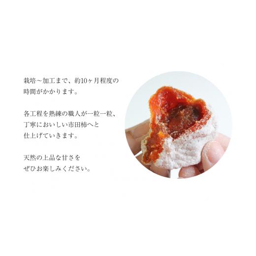 ふるさと納税 果物類 柿 長野県 松川町 MS44 市田柿 柿実 約500g（ご自宅用）／ 2027年1月中旬〜2月下旬頃 配送予定 ／／ 長野県 南信州 干し柿 干柿 高糖度 …_8